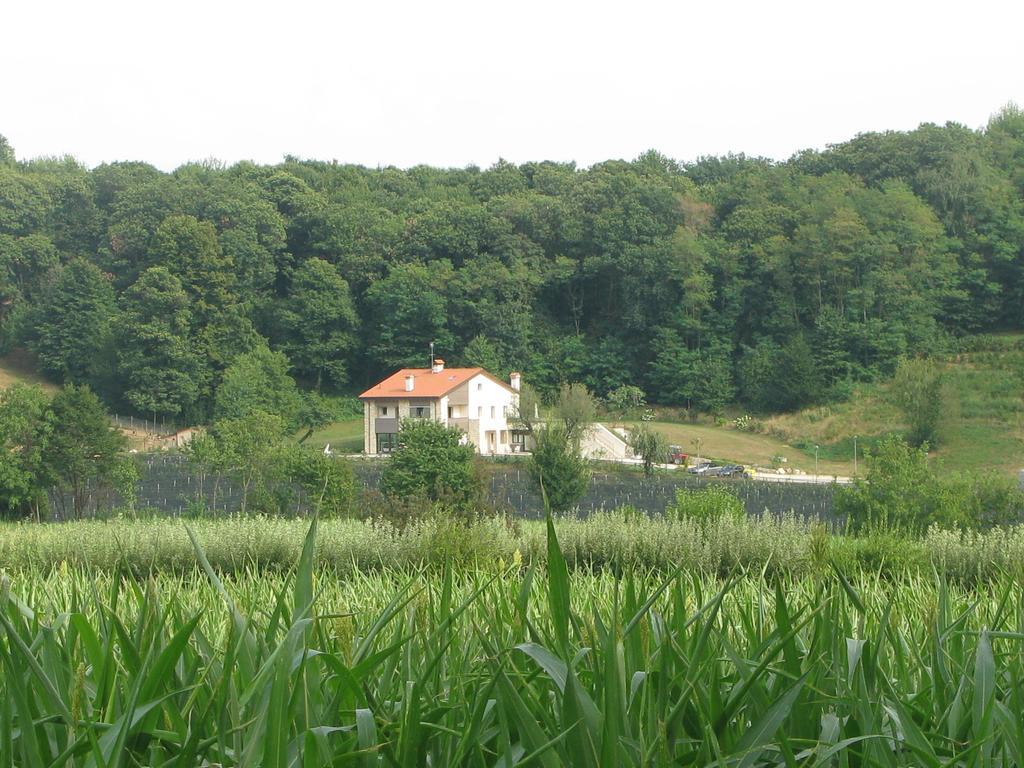 Agriturismo Casamela Paderno del Grappa Exterior foto