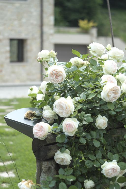 Agriturismo Casamela Paderno del Grappa Exterior foto